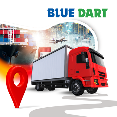 How We Helped Blue Dart Deliver On Time, Every Time